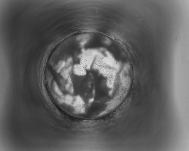 X0000089670145200707201646