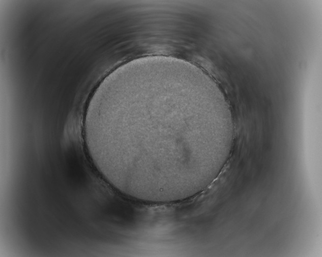 X0000089670146200707201646