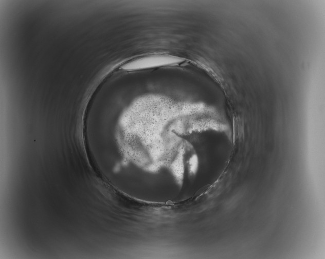 X0000089670147200707201646