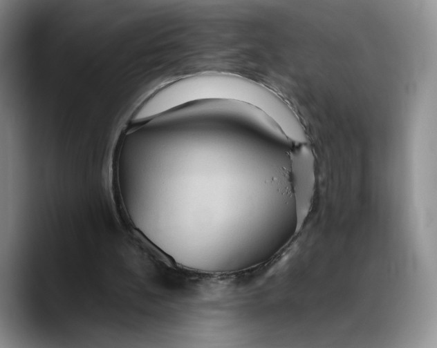 X0000089670148200707201646