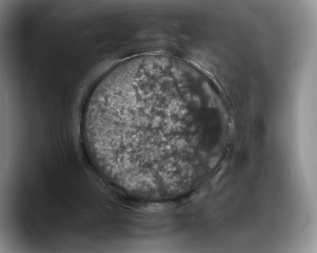 X0000089670149200707201646