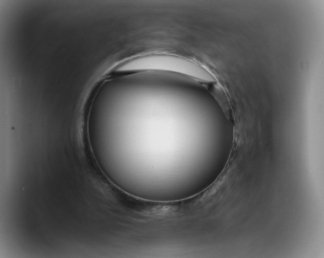X0000089670152200707201646