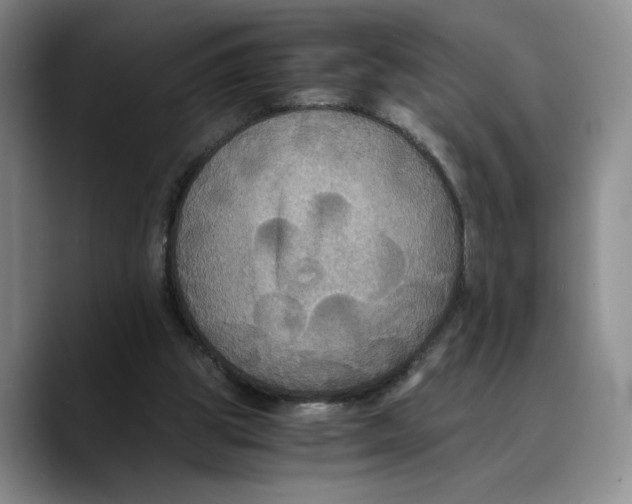 X0000089670153200707201646