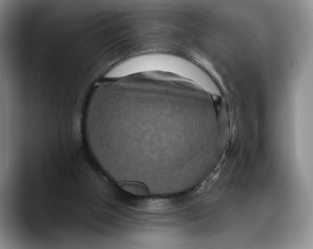 X0000089670154200707201646