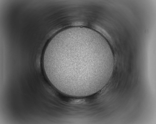 X0000089670155200707201646