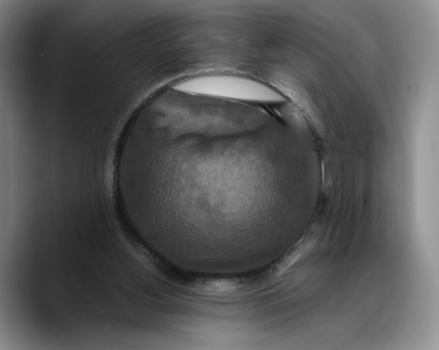 X0000089670156200707201646