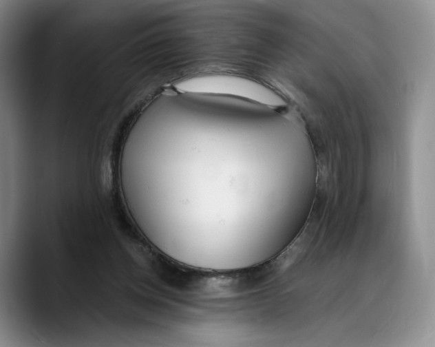 X0000089670158200707201646