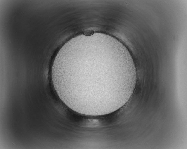 X0000089670159200707201646