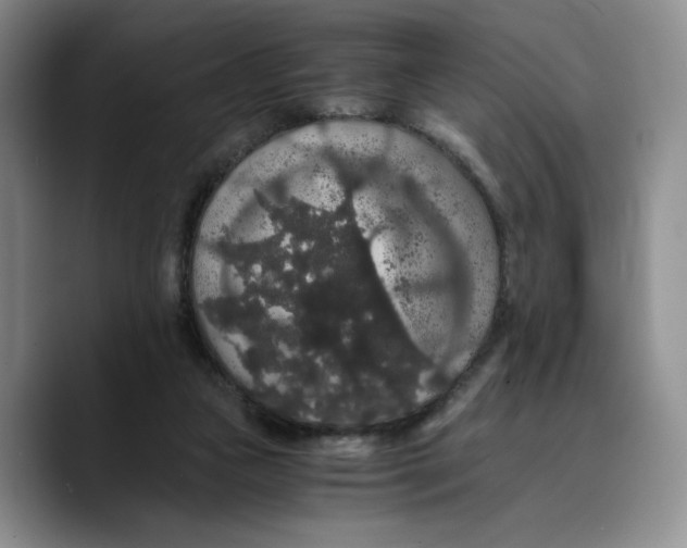 X0000089670161200707201646