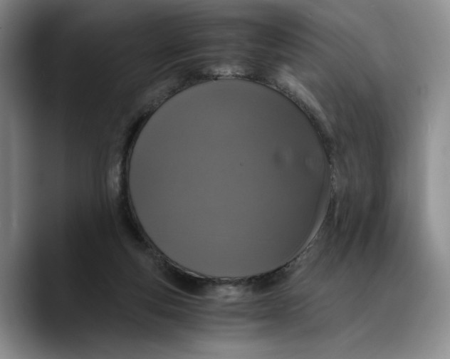 X0000089670163200707201646
