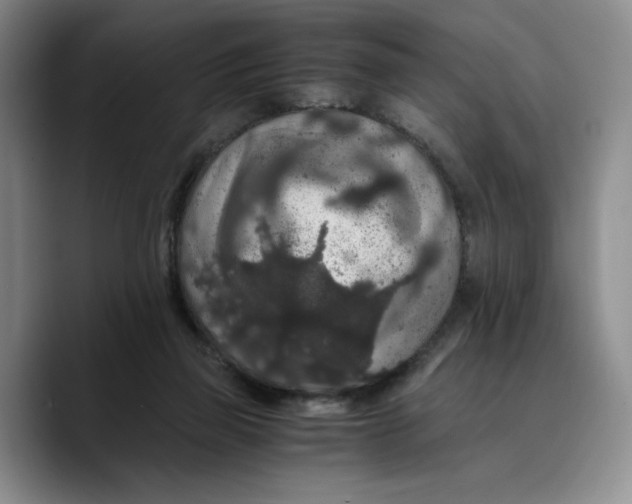 X0000089670165200707201646
