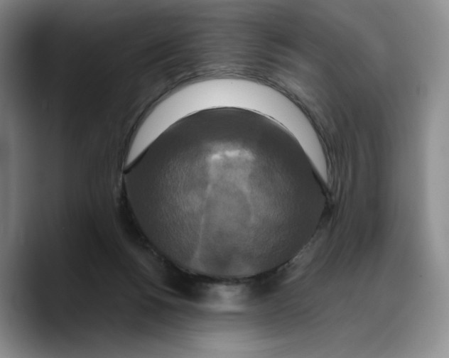 X0000089670168200707201646