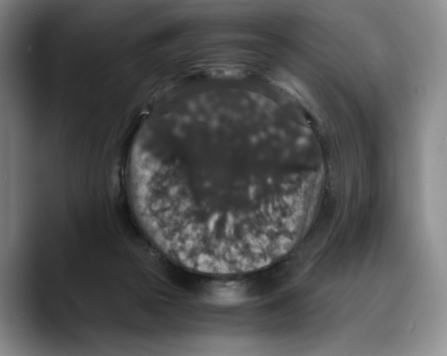 X0000089670169200707201646