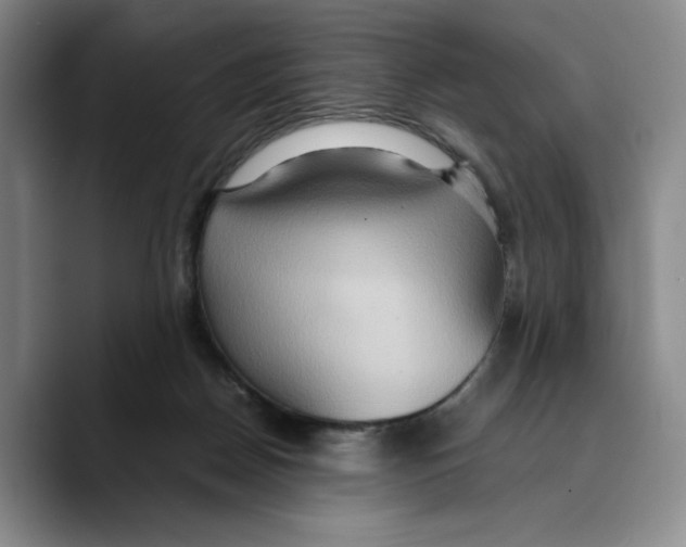 X0000089670170200707201646