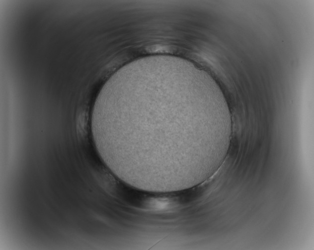 X0000089670171200707201646