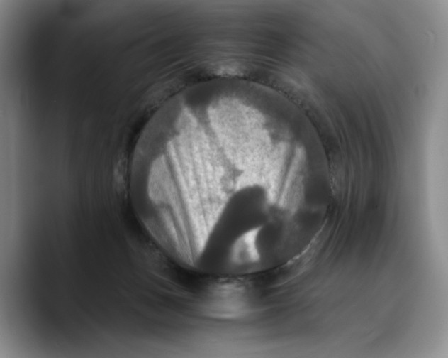 X0000089670175200707201646