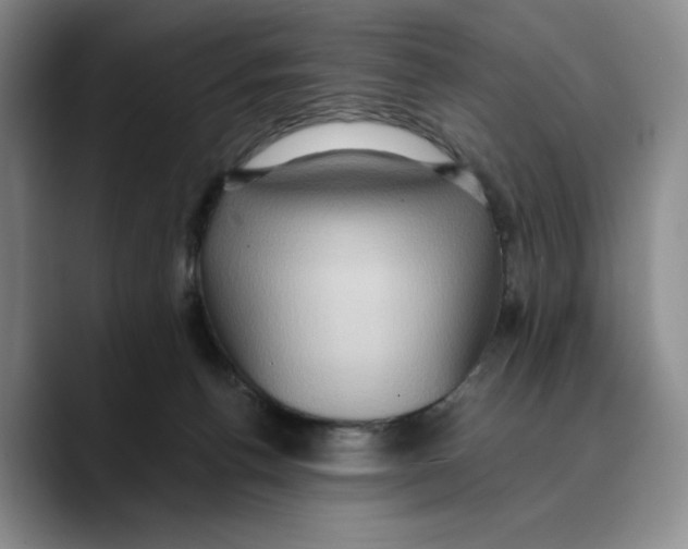 X0000089670176200707201646