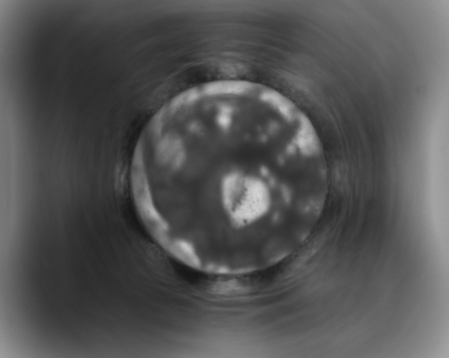 X0000089670177200707201646