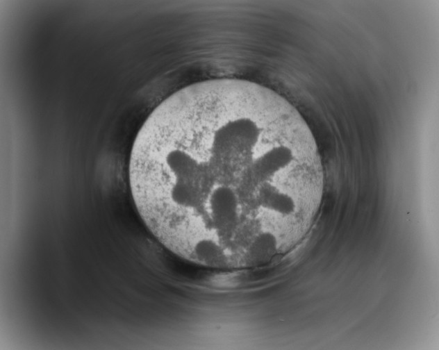 X0000089670178200707201646