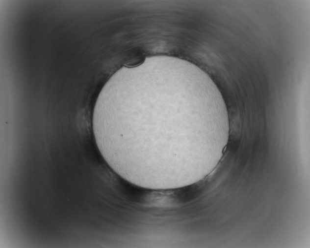 X0000089670179200707201646