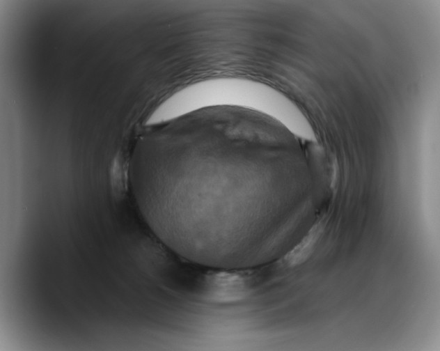 X0000089670180200707201647
