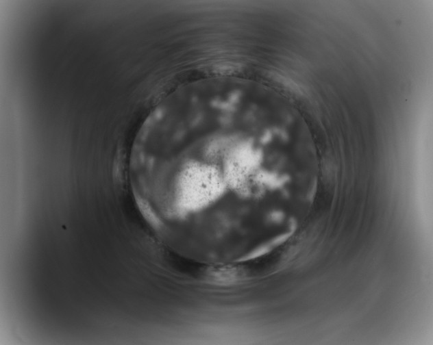 X0000089670181200707201647
