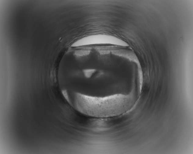 X0000089670182200707201647