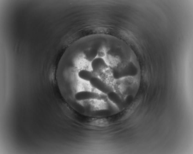 X0000089670185200707201647