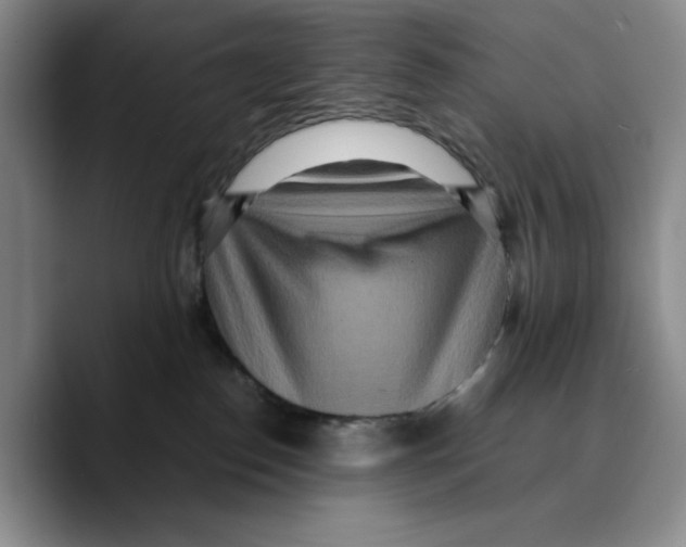 X0000089670186200707201647