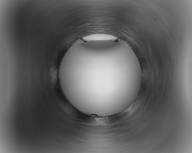 X0000089670188200707201647