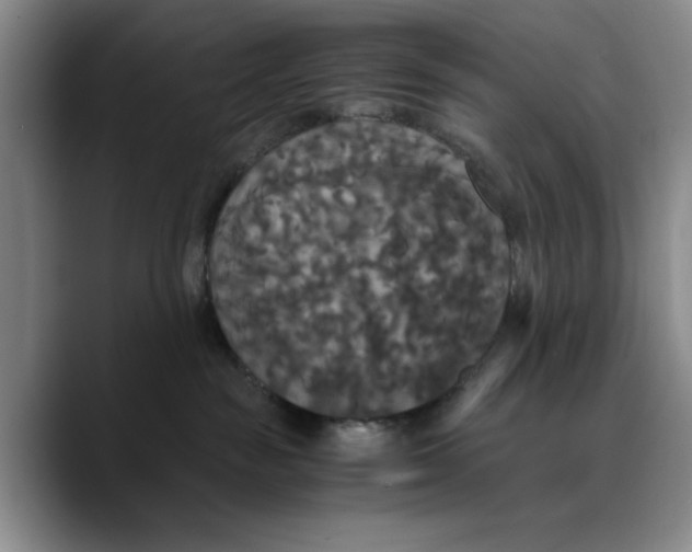X0000089670189200707201647