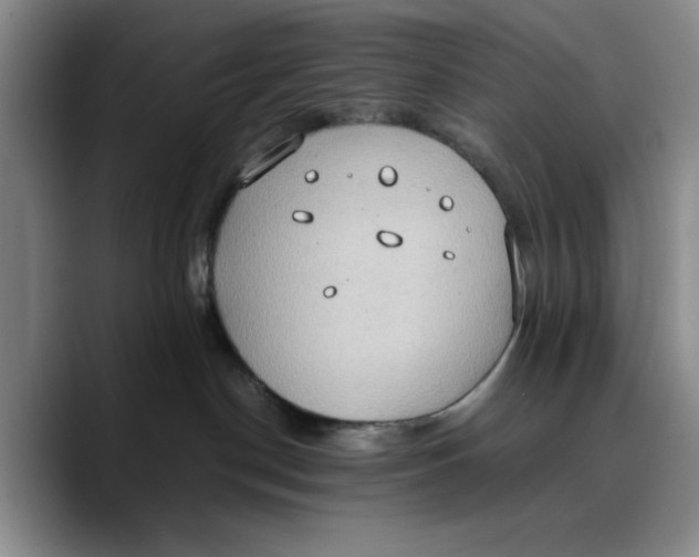 X0000089670190200707201647