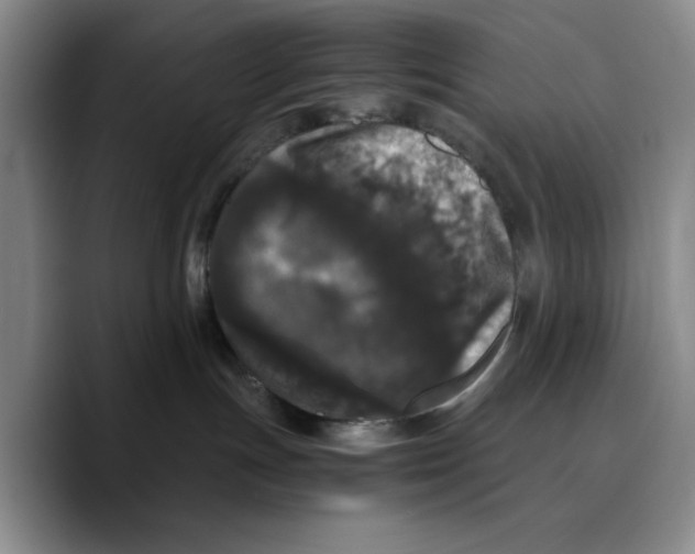 X0000089670191200707201647