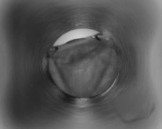 X0000089670192200707201647