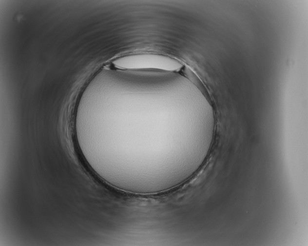 X0000089670193200707201646