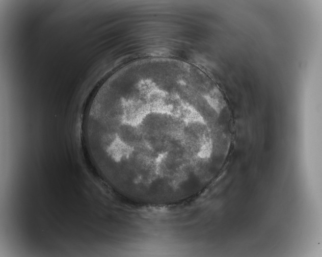 X0000089670194200707201646