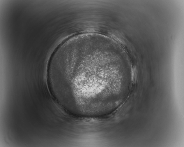 X0000089670195200707201646