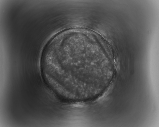 X0000089670196200707201646