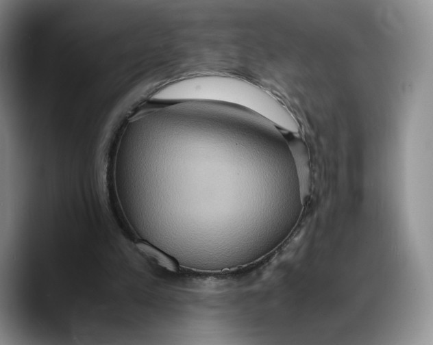 X0000089670197200707201646