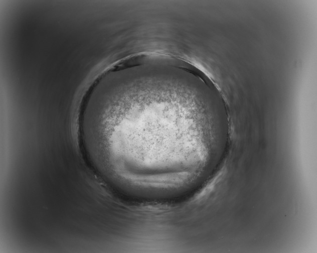 X0000089670199200707201646