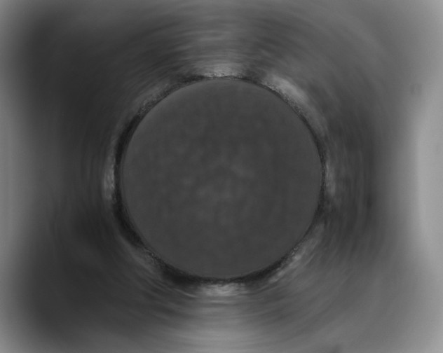 X0000089670202200707201646