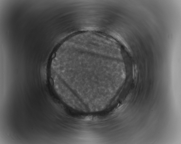 X0000089670204200707201646
