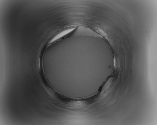X0000089670205200707201646