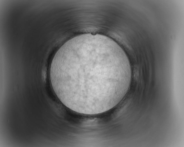 X0000089670206200707201646