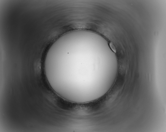 X0000089670207200707201646