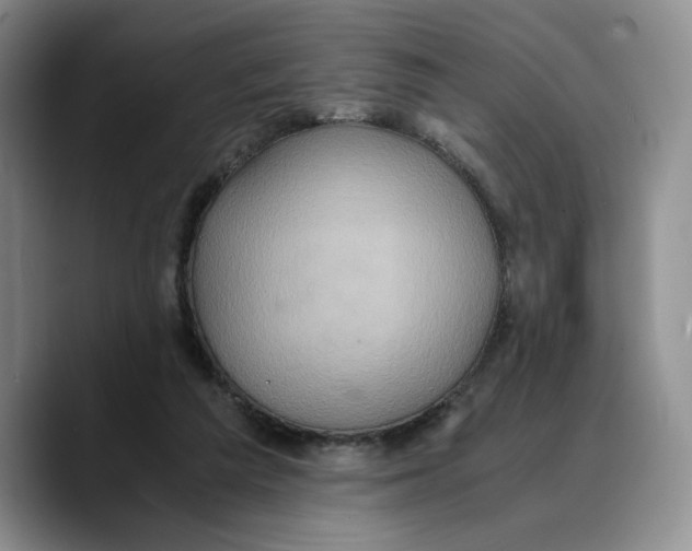 X0000089670209200707201646