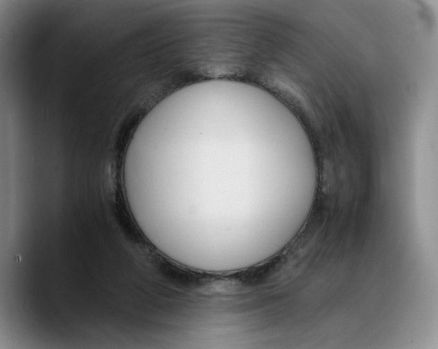X0000089670210200707201646