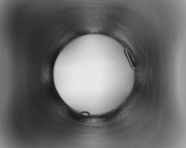 X0000089670212200707201646