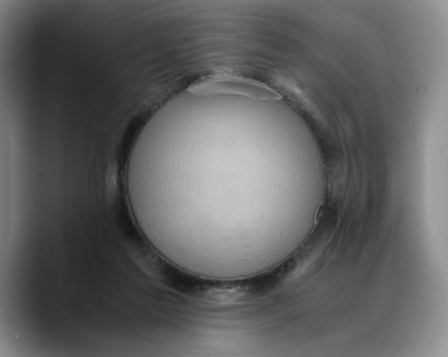 X0000089670213200707201646