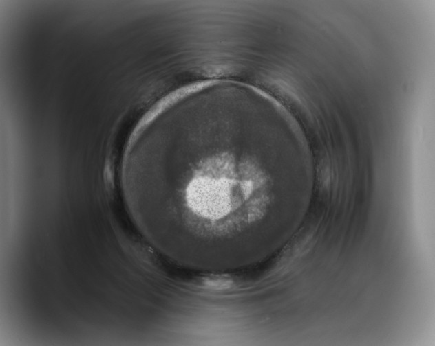 X0000089670214200707201646